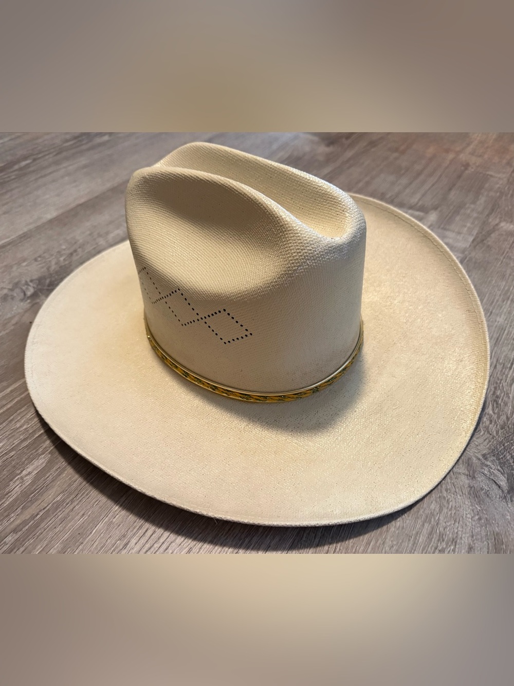 Western Express Inc Women’s Cowboy Cowgirl Rodeo Hat Feathers Band
